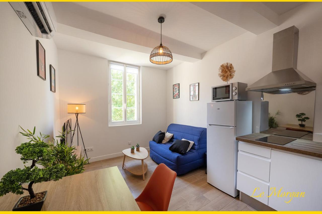 Le Morgan - Magnifique Appartement Cours Principal Plein Centre Avec Parking سالو دو بروفونْسْ المظهر الخارجي الصورة